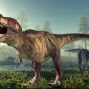 Fossils illuminate dinosaur Tyrannosaurus rex evolution in eastern North America